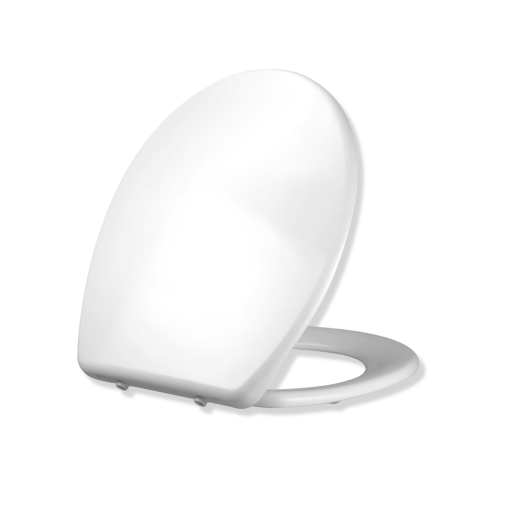 cuvette wc