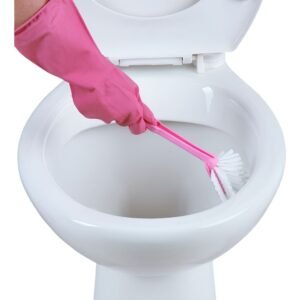 décapage wc