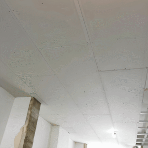 fourniture et pose de faux plafond placoplâtre