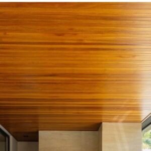 faux plafond bis de guyane